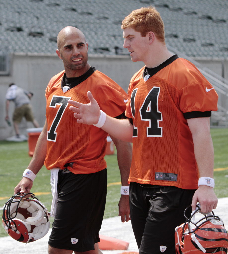 Is Andy Dalton Better Than Carson Palmer Was For The Cincinnati Bengals? 