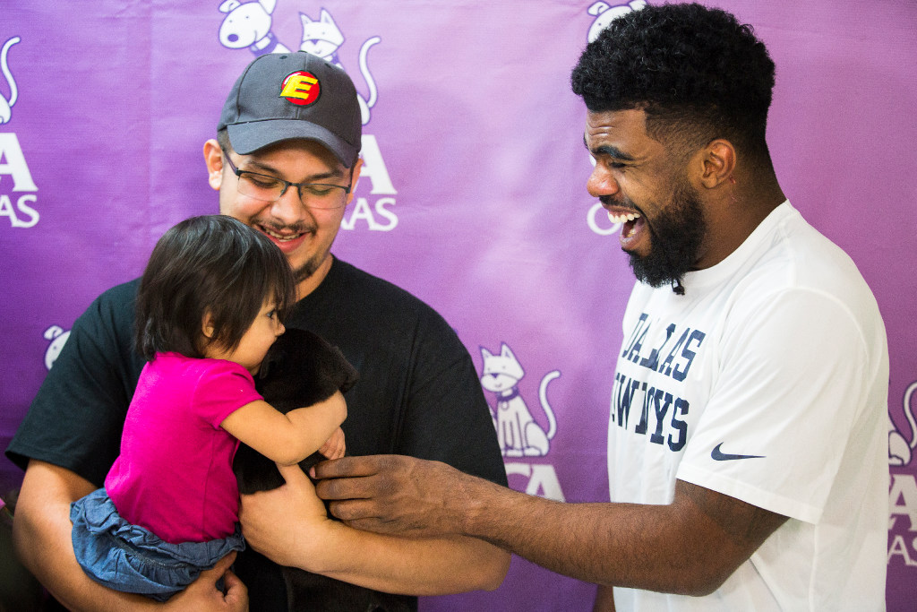 Watch as Cowboys RB Ezekiel Elliott surprises new pet owners at adoption  event at SPCA of Texas