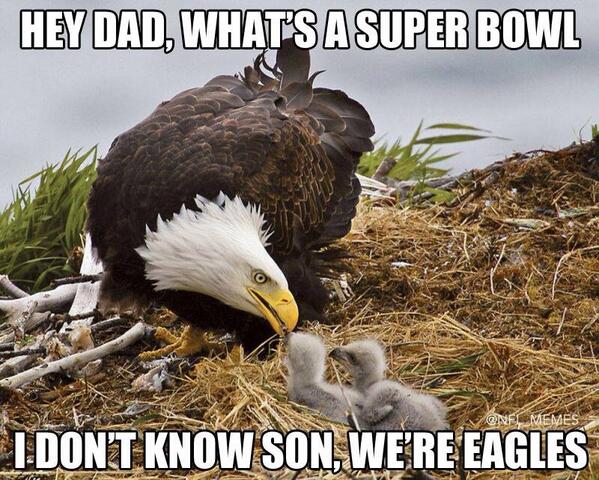 The 24 Funniest Philadelphia Eagles Memes, Ranked