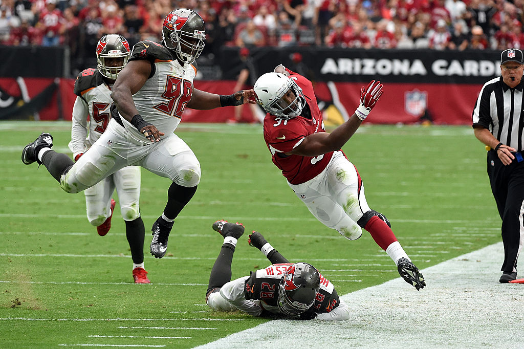 Tampa Bay Buccaneers defensive tackle Clinton McDonald celebrates his  News Photo - Getty Images