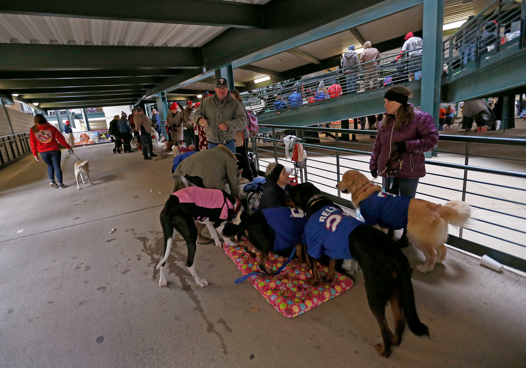 WATCH: Doggos and puppers invade The Globe for Rangers' annual Bark in the  Park