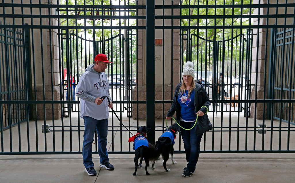 Texas Rangers host Bark in the Park 